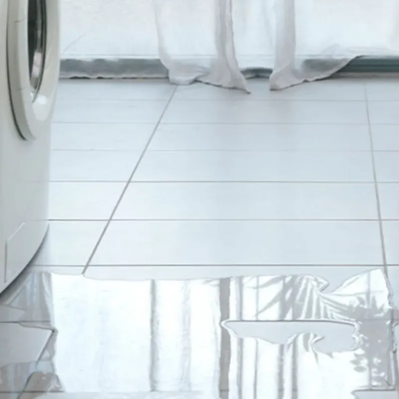 Appliance Leak Cleanup in Volusia County, FL