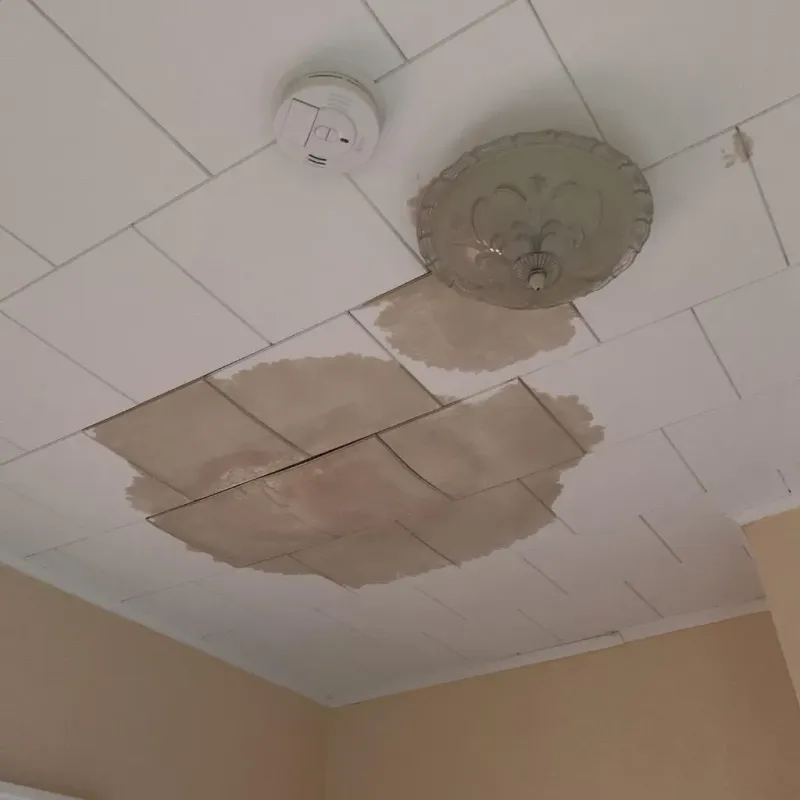 Ceiling Water Damage Repair in Volusia County, FL